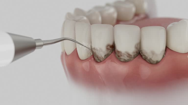Reliable Dental contractor in South Greeley, WY by Dentist Open Now